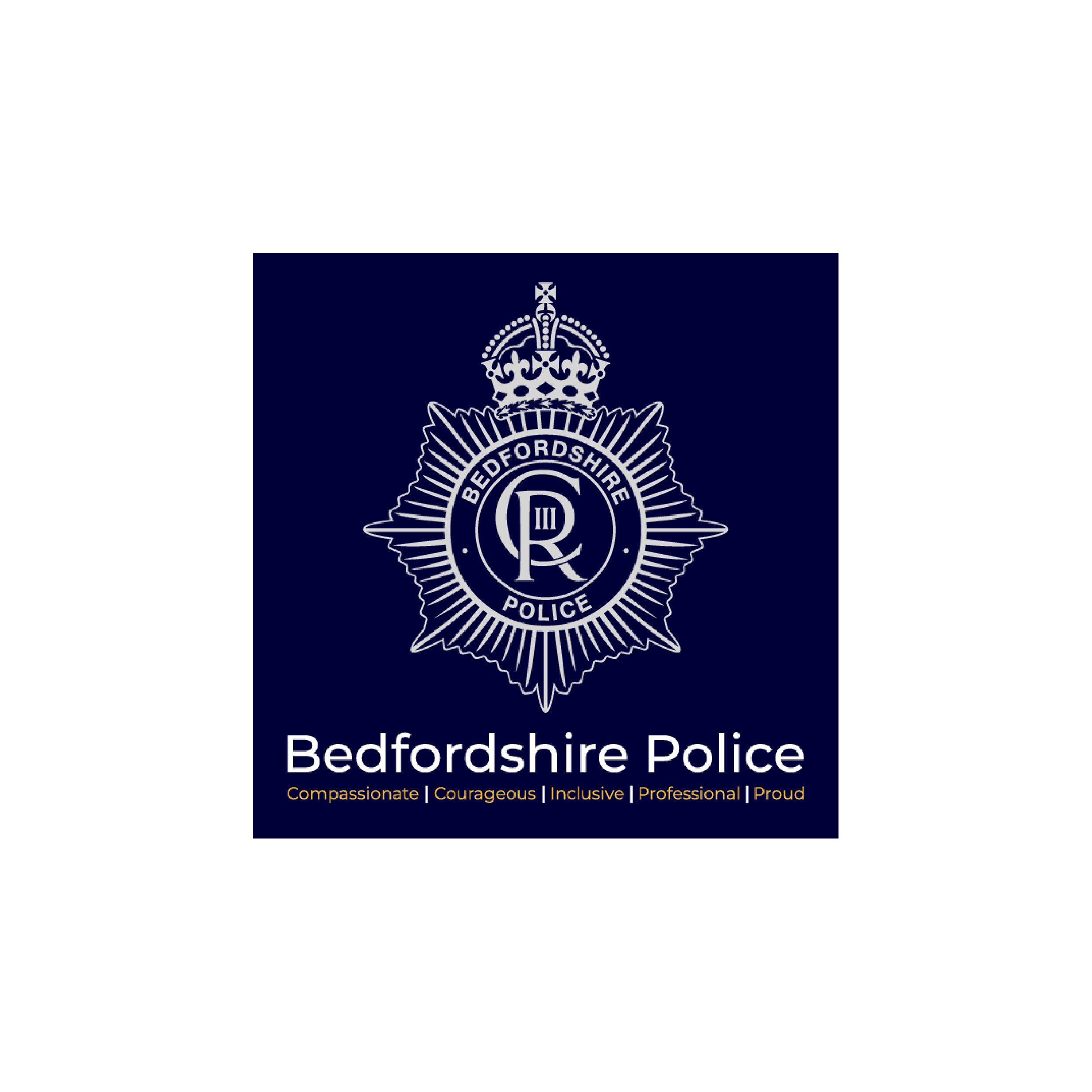 Bed Police 2025 small