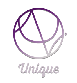 Unique People Consult small logo