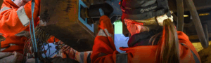 Gemini Rail image from website