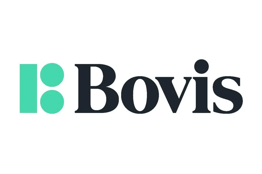 Bovis logo no border